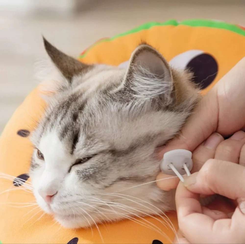 Pet Recovery Cone Funny Food Theme Adjustable Soft E-Collar Cat Dog Animal Small